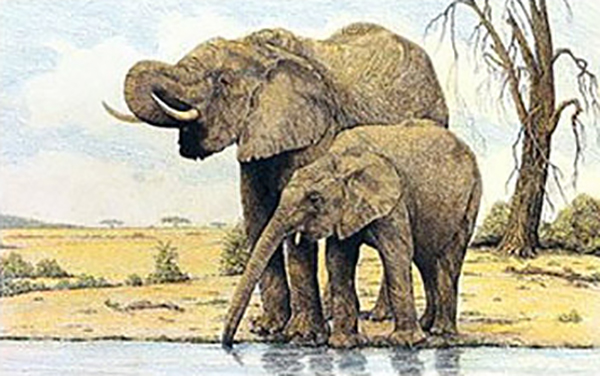 Elephants By the Waterhole