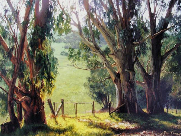 Eucalyptus Light