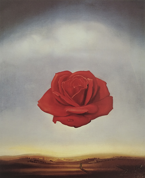 Rose Meditative