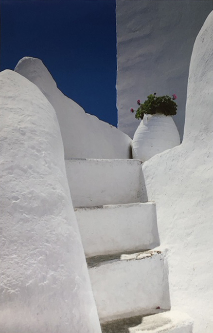 White Steps with Flowers