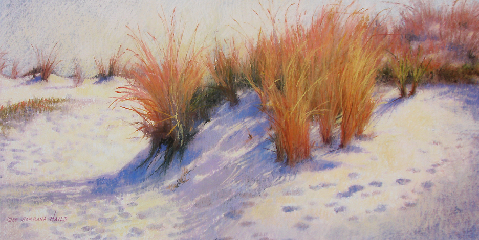 Dune Grasses