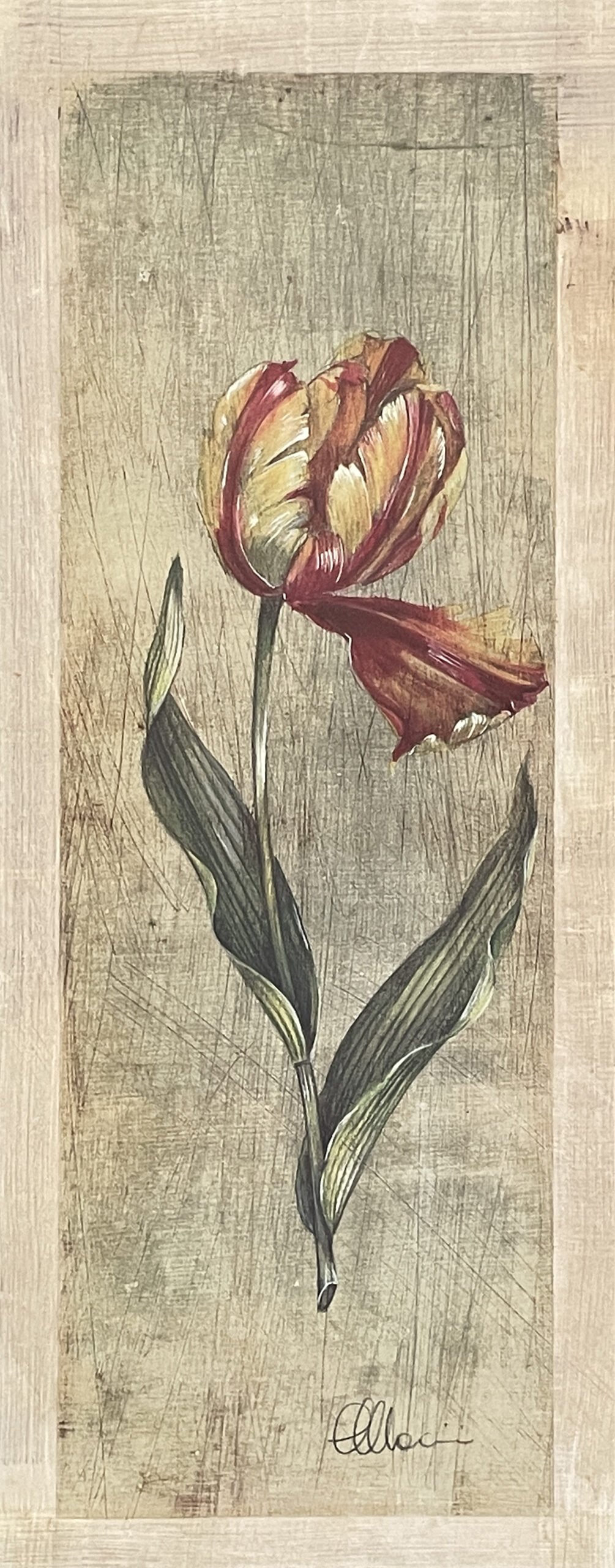 Tulips