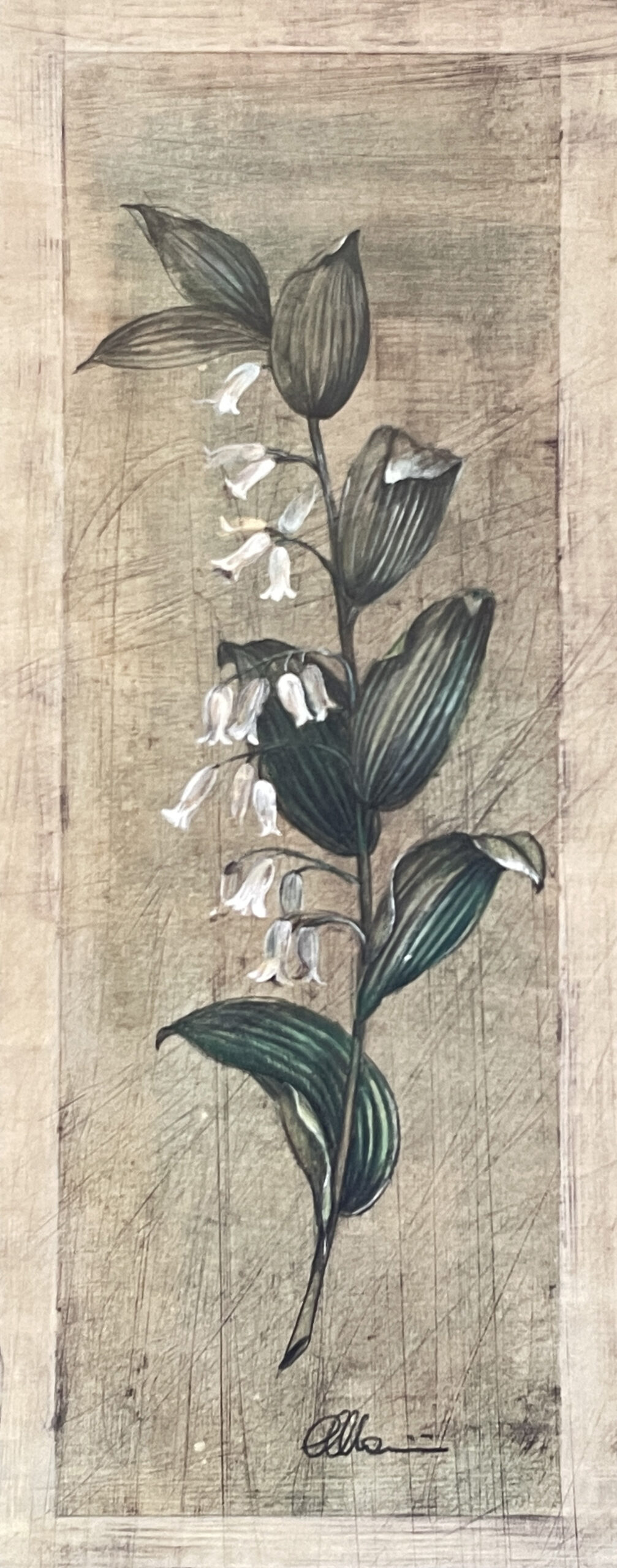 Lily of the Valley