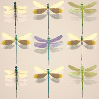 Floating Dragonflies I