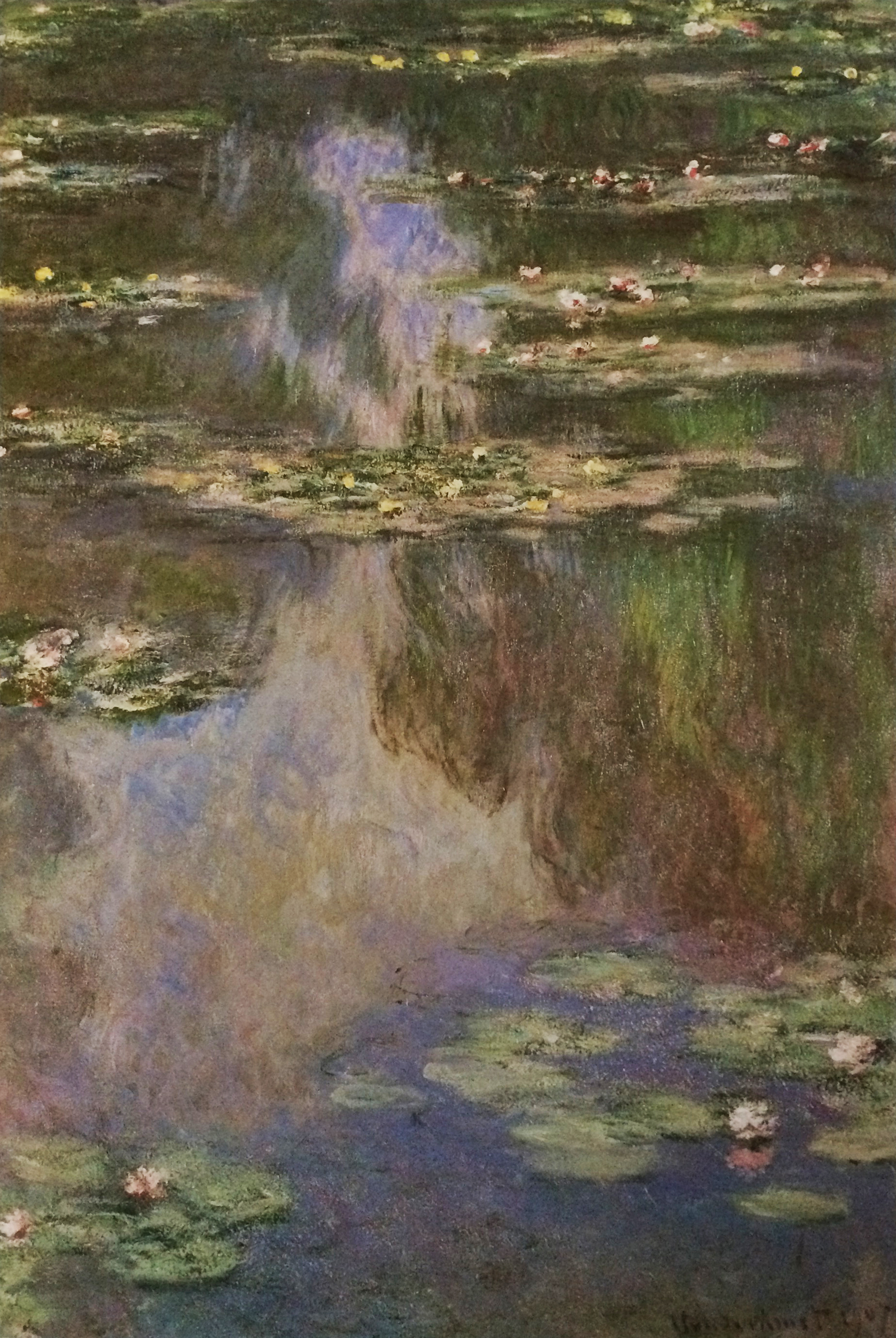 Water Lilies, 1907