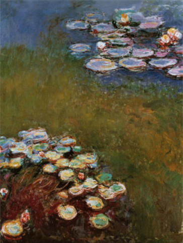 Waterlilies, Harmony in Blue