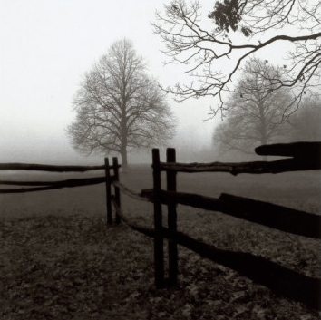 Fence In the Mist