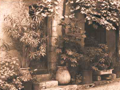 St. Paul de Vence - Doorway with Foliage