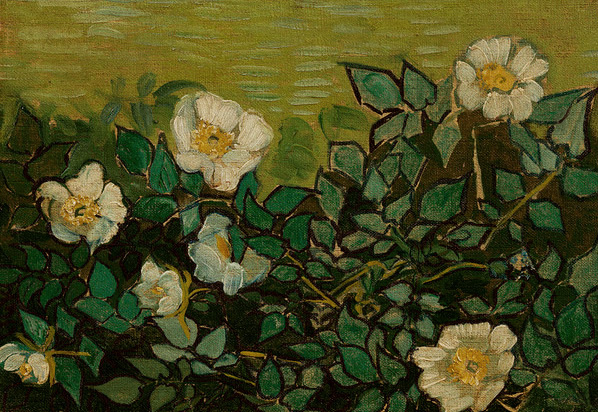 Wild Roses, St. Remy, 1890