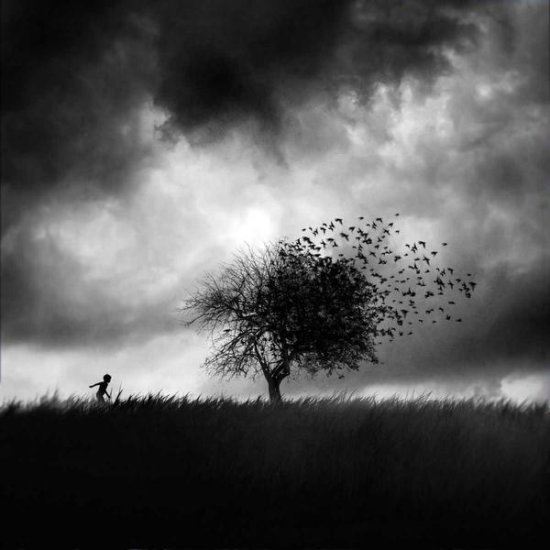 Printemps Perdu