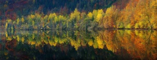 Autumnal Silence