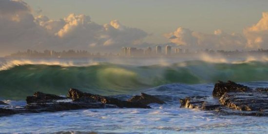 The Wave