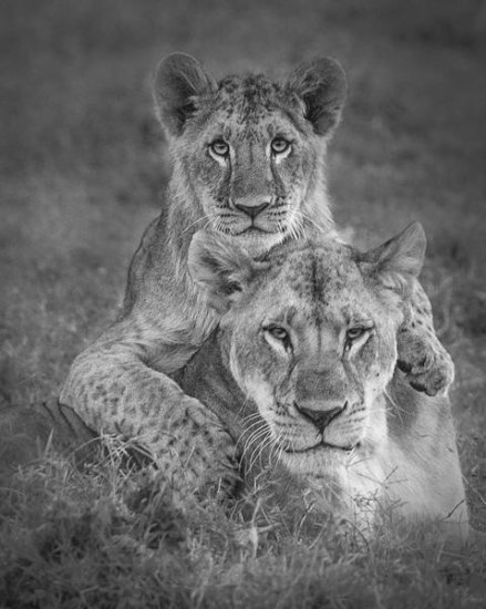 Playtime with Mama