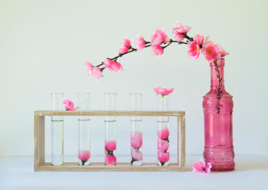 Petal Collecting