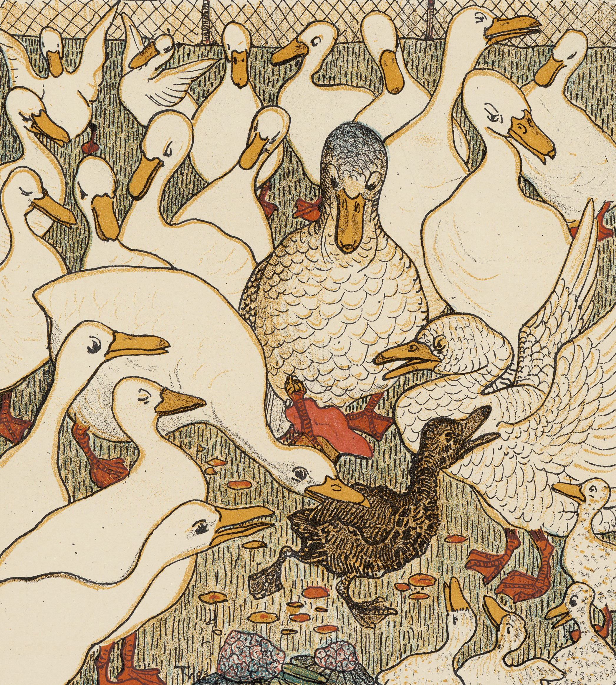 The Ugle Duckling