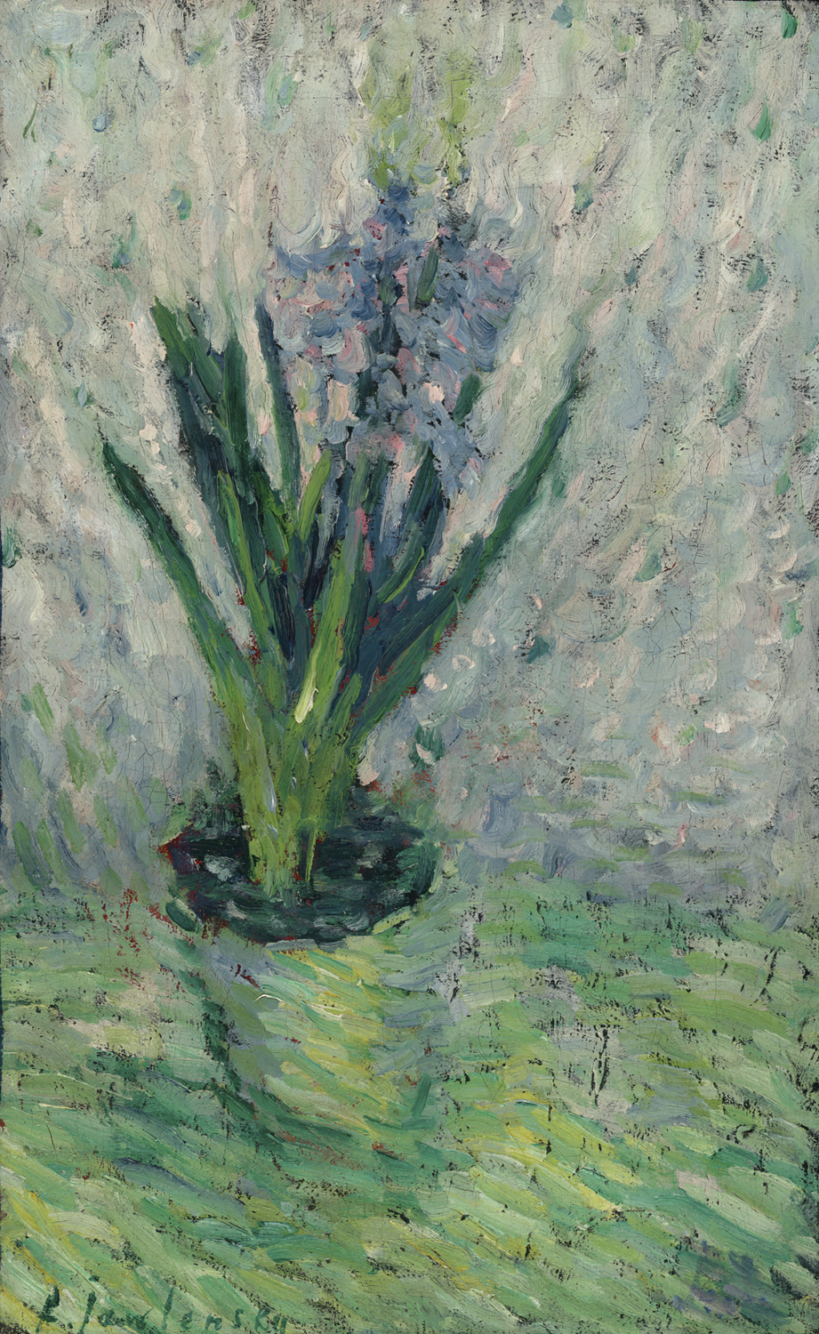 Hyacinths, 1902